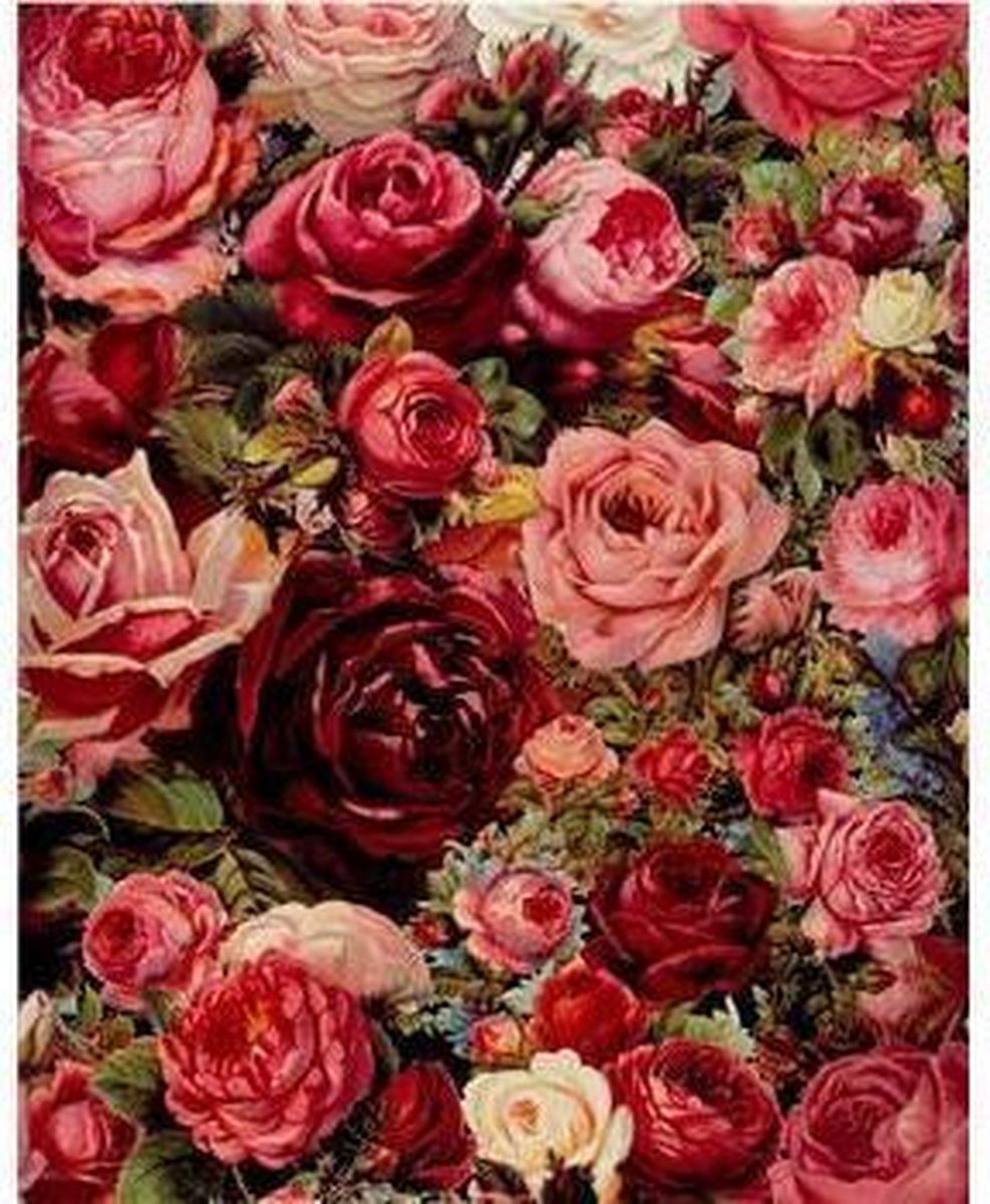 Schilderen op Nummer | Kleurrijke Rozen - 40x50cm - Exclusief Lijst (24 kleurtjes)